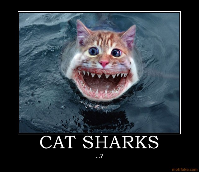 catsharks This one freaked out our oldest... lol.  Found at motifake.com