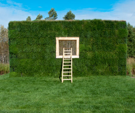 Same grass and plenty of it!